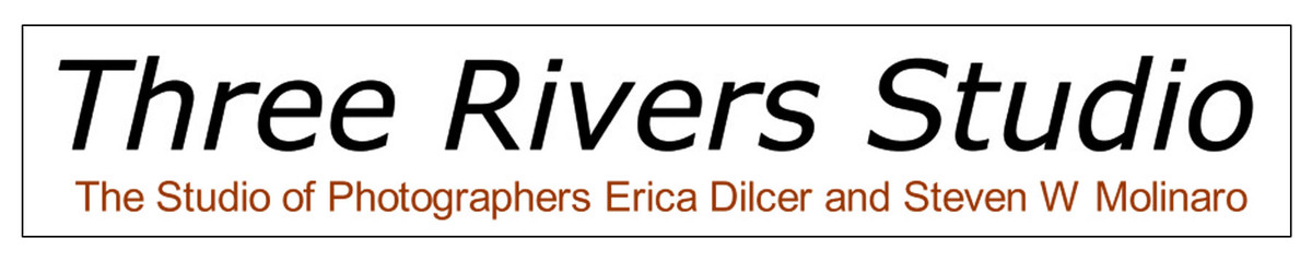 three_rivers_logo.jpg